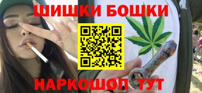 МДПВ Кингисепп