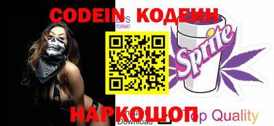МДПВ Кингисепп
