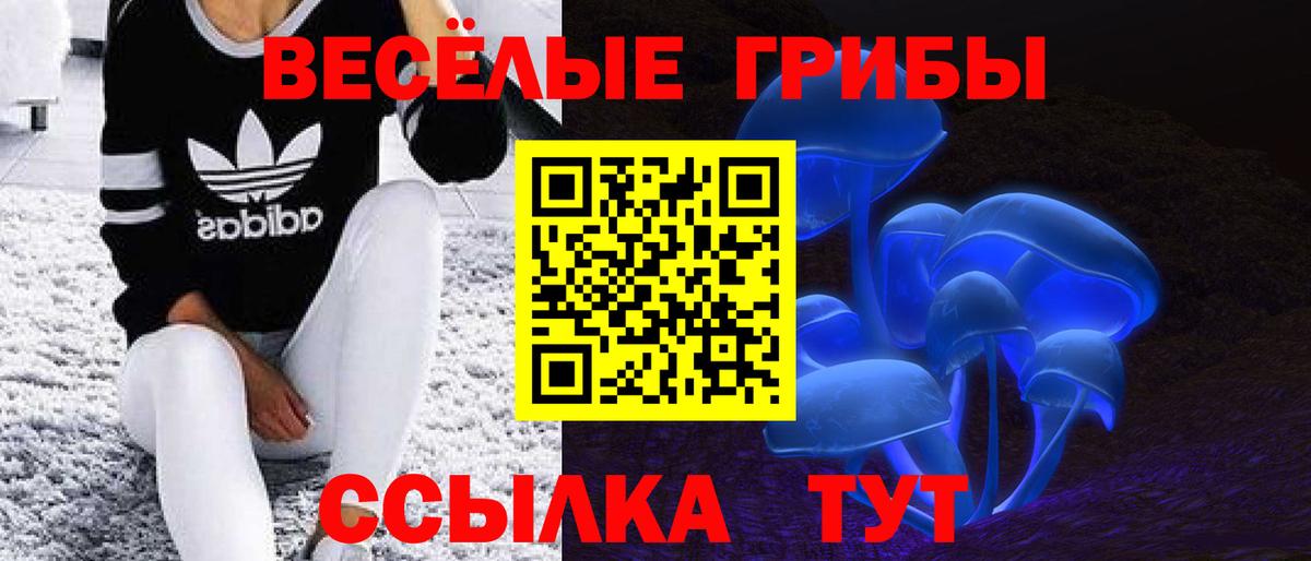Псилоцибиновые грибы прущие грибы  Вход с VPN  Коряжма 